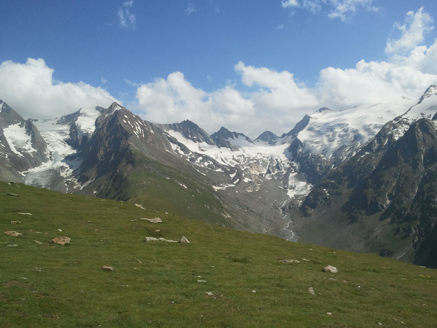 KRNTNER SAATBAU: ALPINES SAATGUT FR GRNE ALMEN - Seilbahnen International