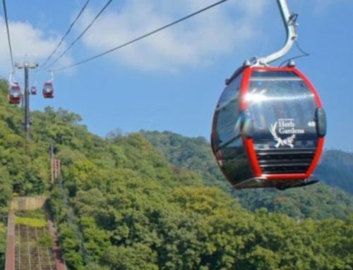 Das Hemkund Seilbahn Projekt