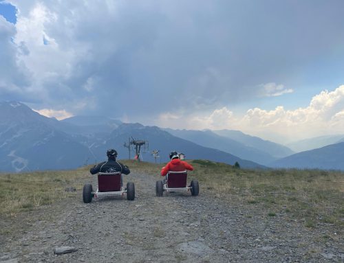 Gravity Cart: Family fun all year round