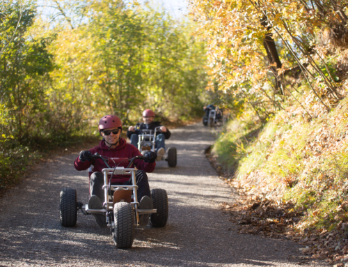 Gravity Cart: Wie kommt man zum Cartbetrieb?