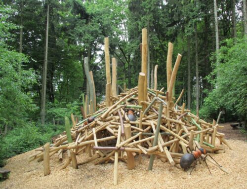 Kukuk GmbH: Naturerlebnisse für groß und klein