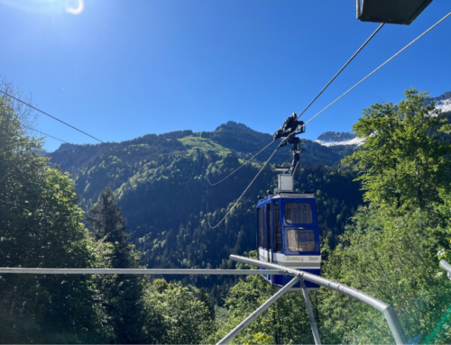 Frey Austria: Generalsanierung im Eiltempo