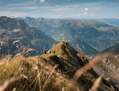 MyClimate: Klimaschutz ganz einfach gemacht