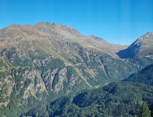 Hochlagen: Begrünen im Spätherbst