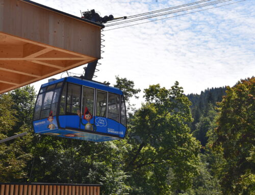 Karrenbahn-Unglück: Was kann man daraus lernen?