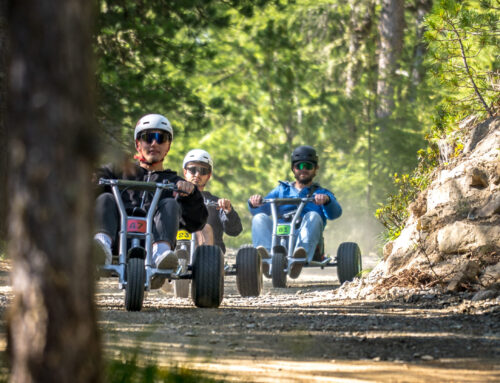 Mountaincart: „In wenigen Monaten amortisiert!“