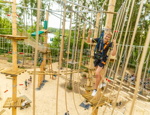 hochkant: Kletterpark aus Douglasien
