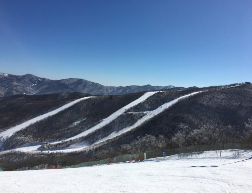 Freier Raum statt Skipiste: Skigebiet stellt technische Beschneiung ein
